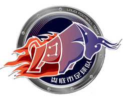娄底队